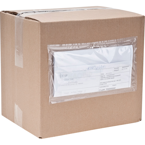 Packing List Envelopes, 3-3/4" L x 7" W, Computer Style Ontario Packaging