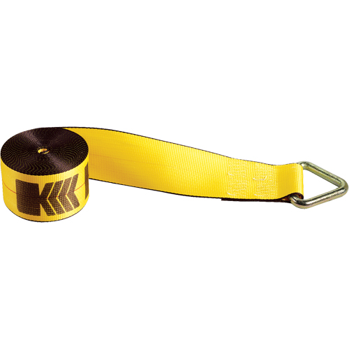 Winch Straps, Delta Ring, 4" W x 30' L, 5400 lbs. (2450 kg) Working Load Limit Ontario Packaging