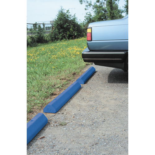 Car Stops, Plastic, 6' L, Blue Ontario Packaging