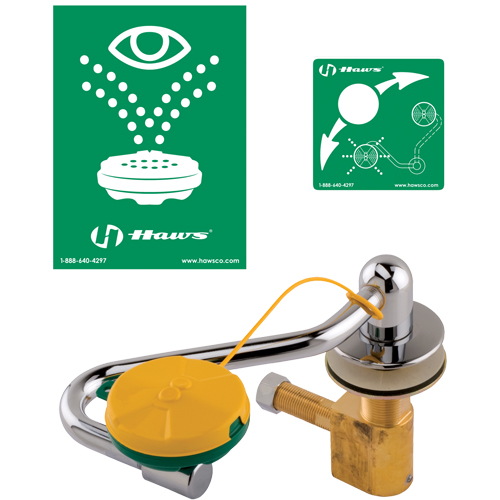 Eye/Face Wash Station, Sink Mount Installation Ontario Packaging