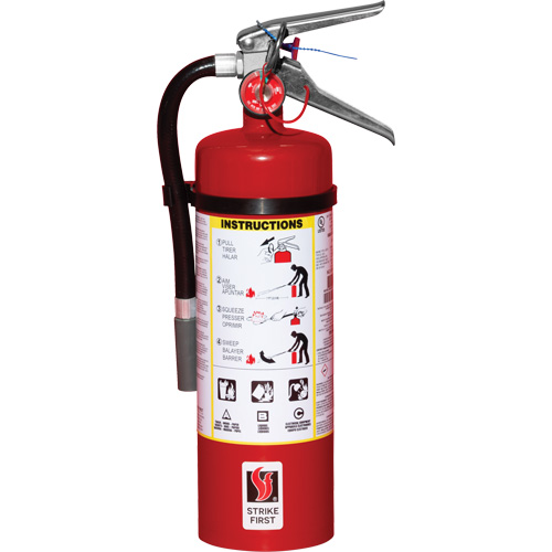 Extincteur d'incendie, ABC, Capacit&eacute; 5 lb Ontario Packaging