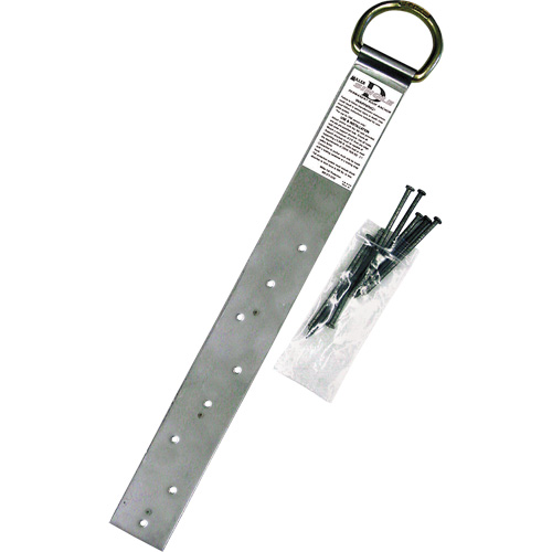 Miller&reg; Single Roof Anchor, D-Ring, Permanent Use Ontario Packaging