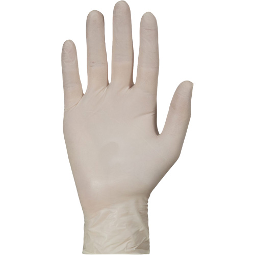 KeepKleen&reg; Disposable Medical Exam Grade Gloves, Large, Latex, 5-mil, Powder-Free, White, Class 2 Ontario Packaging