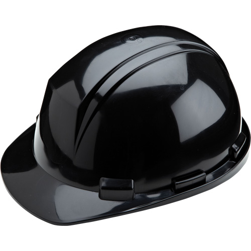 Dynamic Mont-Blanc Hardhat, CSA Type 2, Ratchet Suspension Ontario Packaging