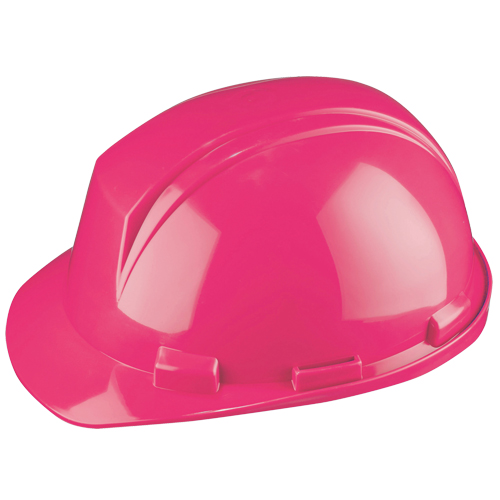 Dynamic Mont-Blanc Hardhat, CSA Type 2, Pinlock Suspension, Non-Vented Ontario Packaging
