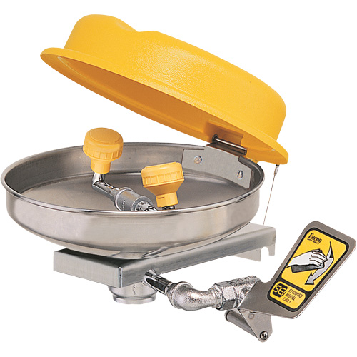 Eyewash Station, Wall-Mount Installation, Stainless Steel Bowl Ontario Packaging