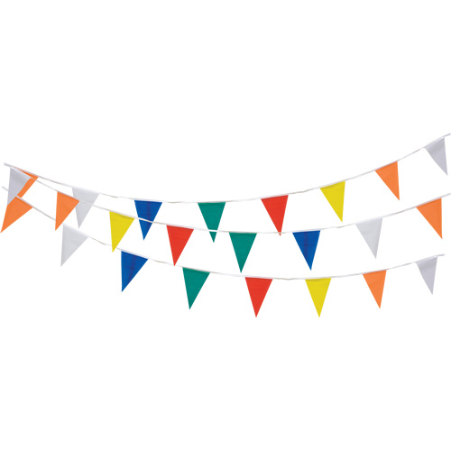 Pennant String, 60' L, Multicolour Ontario Packaging