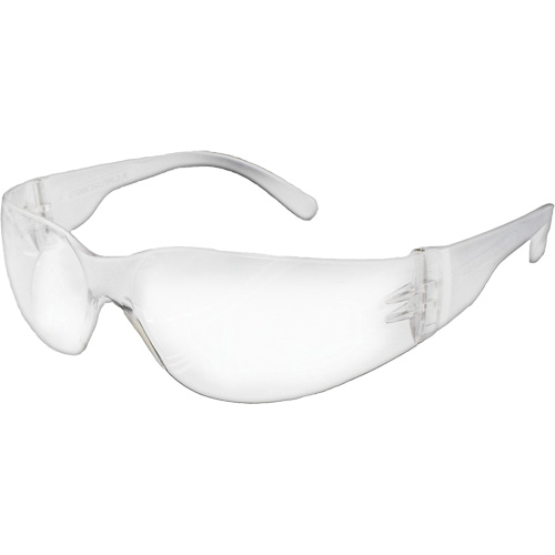 NOVA E-Series Safety Glasses, Clear Lens, Meets/Exceeds CSA Z94.3 Ontario Packaging