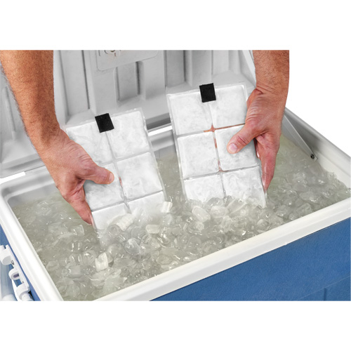 Chill-Its&reg; 6250 Phase Change Cooling Vest Packs Ontario Packaging