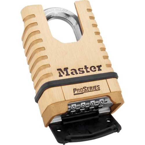 Cadenas &agrave; combinaison prot&eacute;g&eacute; ProSeries Ontario Packaging