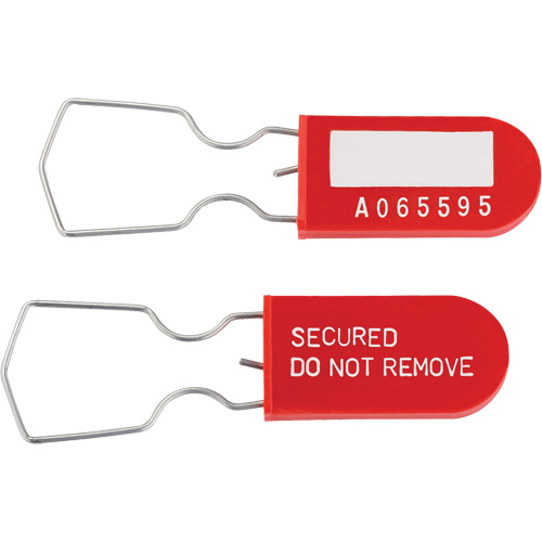 Dynamic Safety Equipment Inspection Tags, Plastic, 1" W x 2-1/4" H, English Ontario Packaging