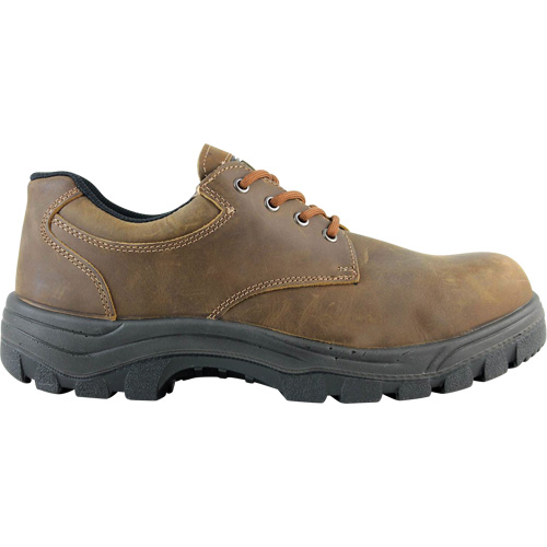Warrior Work Shoes, Size 13, Steel Toe, Puncture Resistant Sole, Leather Ontario Packaging