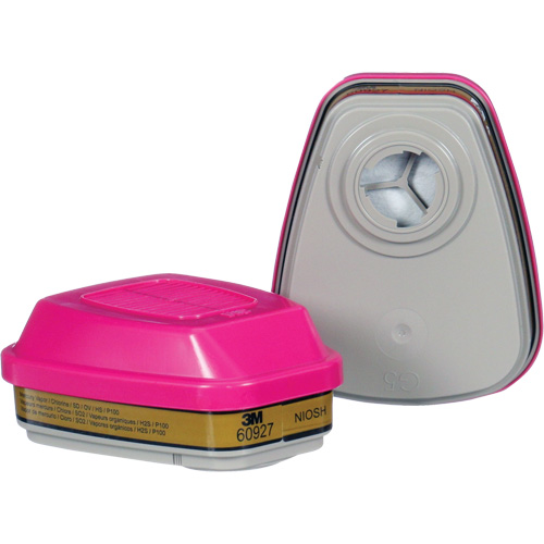 Cartouche, Combinaison cartouche et filtre contre les particules pour gaz/vapeurs, Gaz multiples/Vapeurs/P100 Ontario Packaging