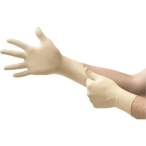 MICROFLEX&reg; Ultra One&reg; Examination Gloves, 6.5/7/Small, Latex, 9.8-mil, Powder-Free, Natural, Class 2 Ontario Packaging