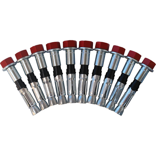 Replacement Bolt Kit for Concrete D-Ring Anchors, Bolt-On, Permanent/Temporary Use Ontario Packaging