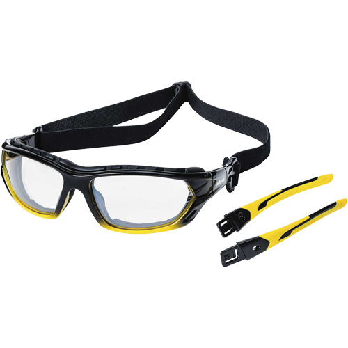 XPS530 Sealed Safety Glasses, Indoor/Outdoor Lens, Anti-Scratch, ANSI Z87+/Meets/Exceeds CSA Z94.3 Ontario Packaging