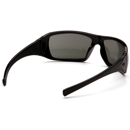 Lunettes de s&eacute;curit&eacute; &agrave; monture compl&egrave;te Goliath, Lentille Gris, Polaris&eacute;, ANSI Z87+/R&eacute;pond ou surpasse la norme CSA Z94.3 Ontario Packaging
