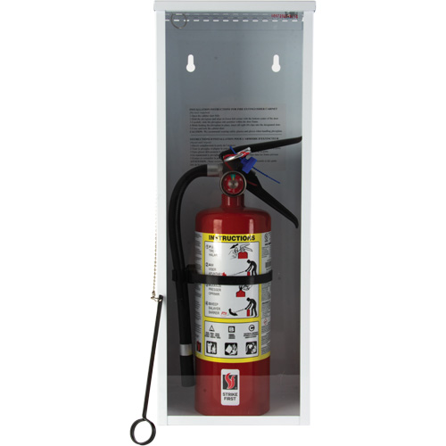 Light-Duty Fire Extinguisher Cabinet, 8" W x 22" H x 6" D Ontario Packaging