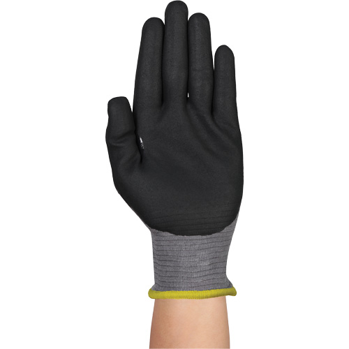 Gants r&eacute;sistants &agrave; la coupe HYFLEX 11-584, Taille 5/2T-petit, Calibre 21, Rev&ecirc;tement Mousse de nitrile, Enveloppe en PEHP/Intercept, ASTM ANSI niveau A6/EN 388 niveau F Ontario Packaging