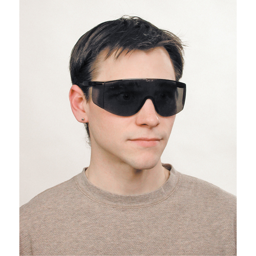 Lunettes de s&eacute;curit&eacute; Tacoma, Lentille Grise/fum&eacute;e, Anti-&eacute;gratignures, ANSI Z87+ Ontario Packaging