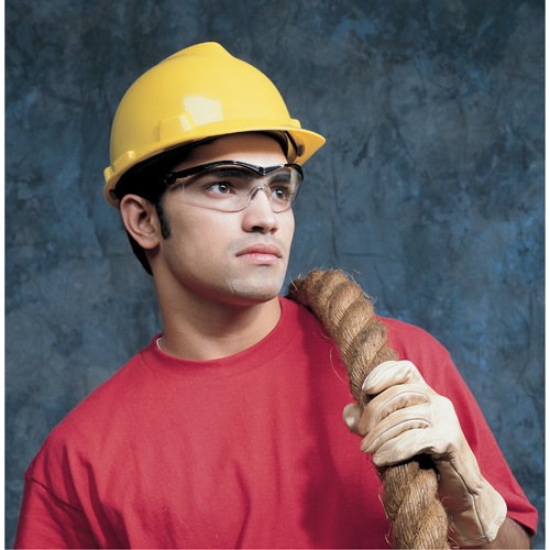 Lunettes de s&eacute;curit&eacute; Storm, Lentille Transparent, Anti-&eacute;gratignures, ANSI Z87+ Ontario Packaging