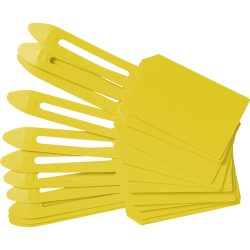 Blank Plastic Lock-On Tags, Plastic, 3-1/4" W x 5-4/5" H, Blank Ontario Packaging