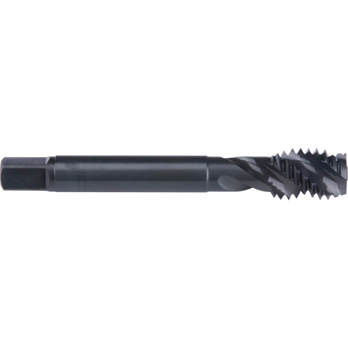 Taraud &agrave; cannelure en spirale 45°, Acier rapide au cobalt, Filet de 7/8"-9, 4-11/16" l Ontario Packaging