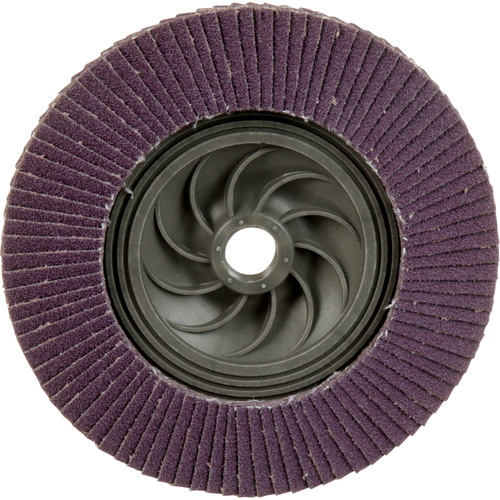 769F Quick Change Flap Disc, 5" x 5/8"-11, Type 29, 80+ Grit, Ceramic Ontario Packaging