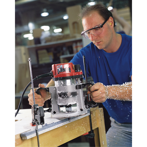 Toupie &agrave; M&egrave;che Plongeante Pour Production 3 1/2 CV &agrave; Vitesse Variable EVS Ontario Packaging