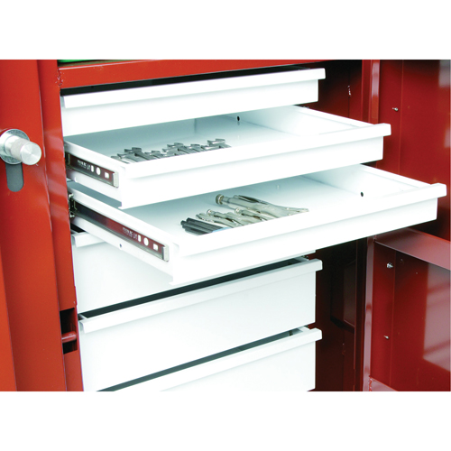 Rolling Work Bench, 49-7/8" W x 40-5/8" H x 26-7/8" D, 24.6 Cubic Feet Capacity Ontario Packaging