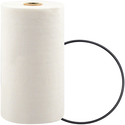 P7247 Filtre pour liquide de refroidissement &agrave; visser avec additif BTE Ontario Packaging