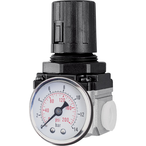 Air Regulator (Gauge Included), 1/4" NPT, 220 PSI Max. PSI, Modular Ontario Packaging