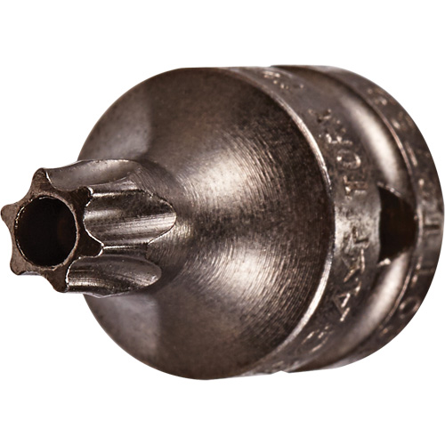 Embout &agrave; ins&eacute;rer, Torx inviolable, 8 x 3/4" lo, Prise 1/4" Ontario Packaging