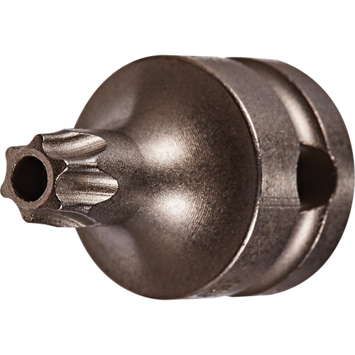 Embout &agrave; ins&eacute;rer, Torx inviolable, 25 x 1" lo, Prise 3/8" Ontario Packaging