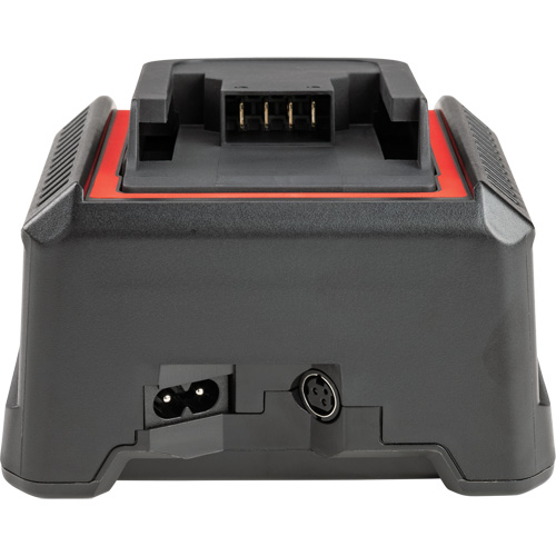 2.5 Ah & 5.0 Ah Battery Charger, 120 V, Lithium-Ion Ontario Packaging