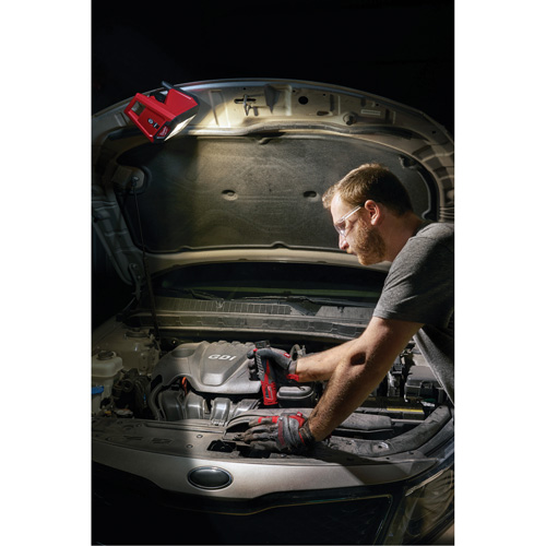 Projecteur d'illumination montable M12 ROVER, DEL, 250 W, 1000 lumens Ontario Packaging