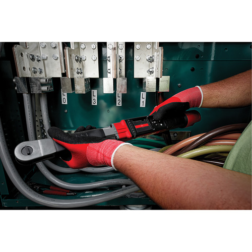 Cl&eacute; dynamom&eacute;trique M12 Fuel avec One-Key, &eacute;lectronique, Entraînement 3/8" carr&eacute;, 10 - 100 lb-pi Ontario Packaging