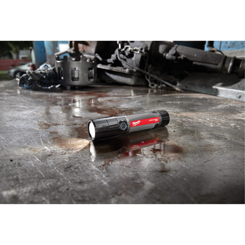 USB Compatible Compact Flashlight, LED, 800 Lumens, Rechargeable Batteries Ontario Packaging