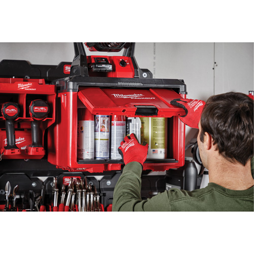 Packout Tool Cabinet, 15" x 15" x 20", Black/Red Ontario Packaging