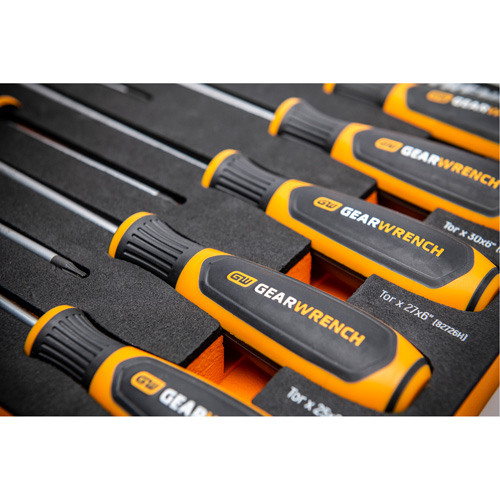 Jeu de tournevis bimat&eacute;riau Torx dans un plateau de rangement en mousse, 10 mcx Ontario Packaging