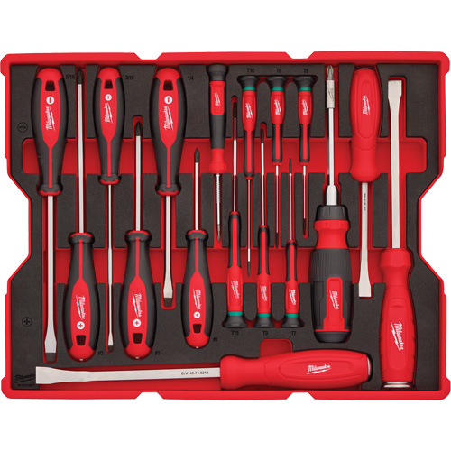Jeu de tournevis et de leviers avec organisateur pour tiroirs PACKOUT, 17, Magn&eacute;tique Ontario Packaging