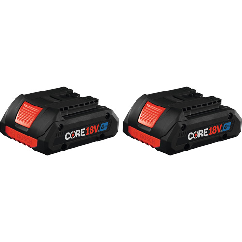 Batteries CORE18V &agrave; puissance avanc&eacute;e, Lithium-ion, 18 V, 4 A Ontario Packaging