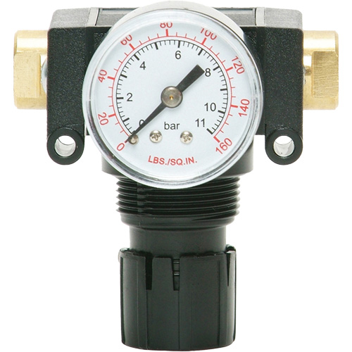 MODULAIR 200 Acetal Piston Regulator, 1/4" NPT, 150 PSI Max. PSI, In Line/Modular Ontario Packaging