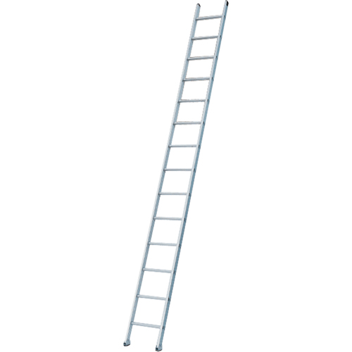 Industrial Heavy-Duty Extension/Straight Ladders, 8', Aluminum, 300 lbs., CSA Grade 1A Ontario Packaging