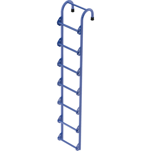 Tank Access Ladder Ontario Packaging