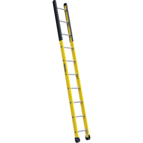 Single Manhole Ladder, 10', Fibreglass, 375 lbs., CSA Grade 1AA Ontario Packaging