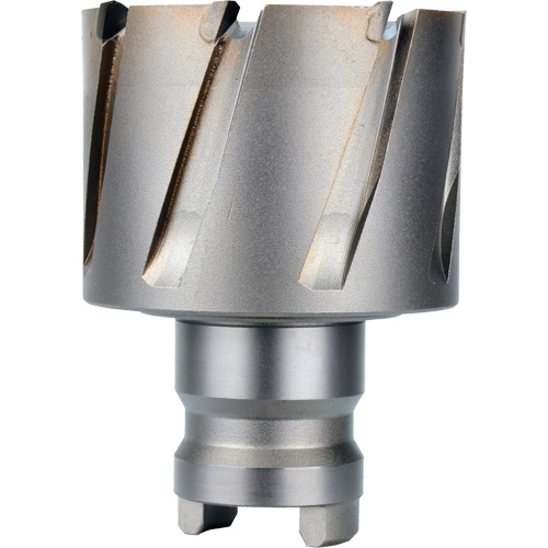 Quick Change Tang Drive Hawg&reg; Cutter, 2" Diameter, Steel, 1" Depth of Cut Ontario Packaging