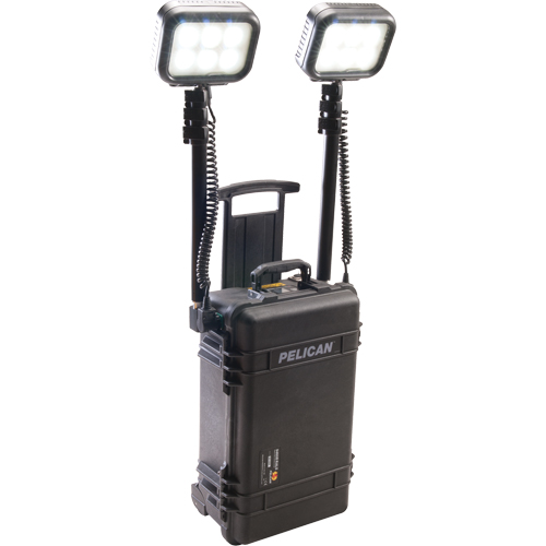 9460 Remote Area Lighting Systems, LED, 12,000 Lumens, Plastic Housing Ontario Packaging