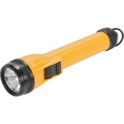 Lampe de poche AFL100, DEL, 28 lumens, Piles AA Ontario Packaging