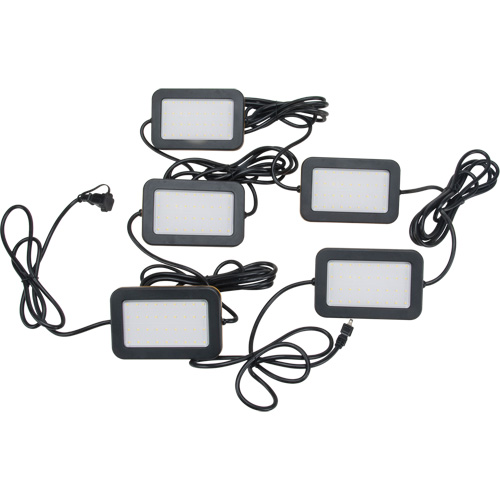 Chaîne de baladeuses DEL, 5 Lumi&egrave;res, 50' lo, Boîtier en Plastique Ontario Packaging